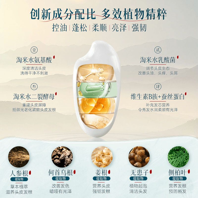 Changfa Xiaozhai Reiswasser-Sh – Hair Care With Rice Water Bewertung und Preis
