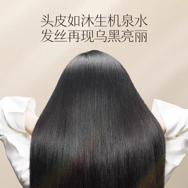 Changfa Xiaozhai Reiswasser-Sh – Hair Care With Rice Water Bewertung und Preis